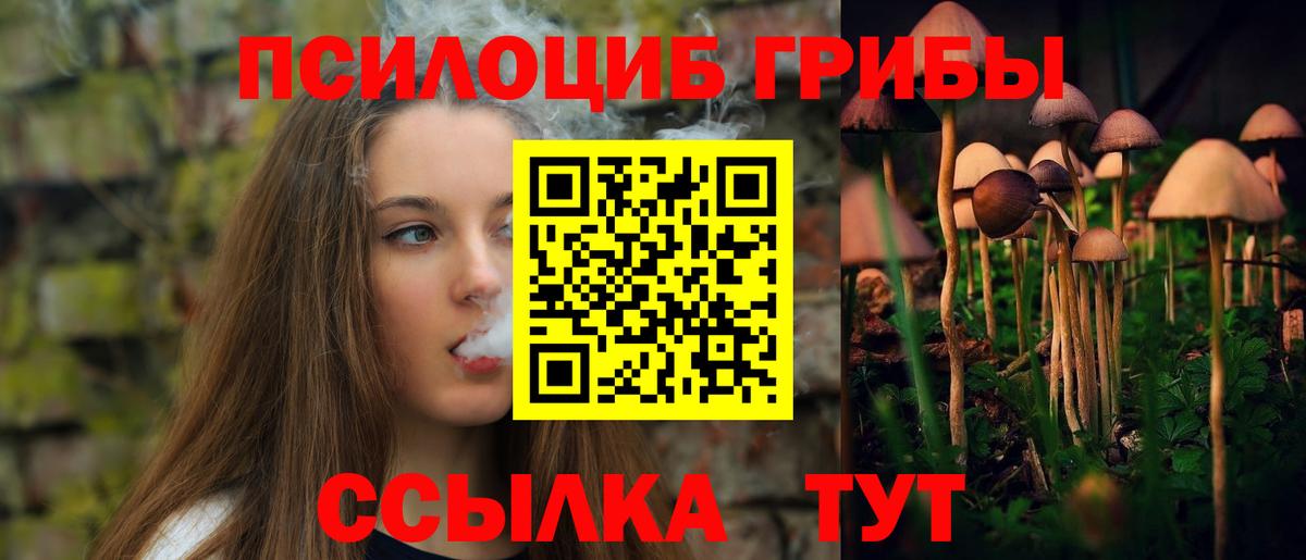 Галлюциногенные грибы мицелий Долгопрудный